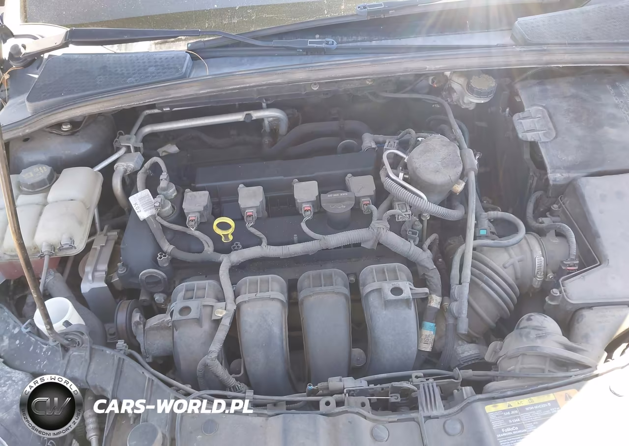 2014 Ford Focus Se VIN:1FADP3F27EL252444 - 10