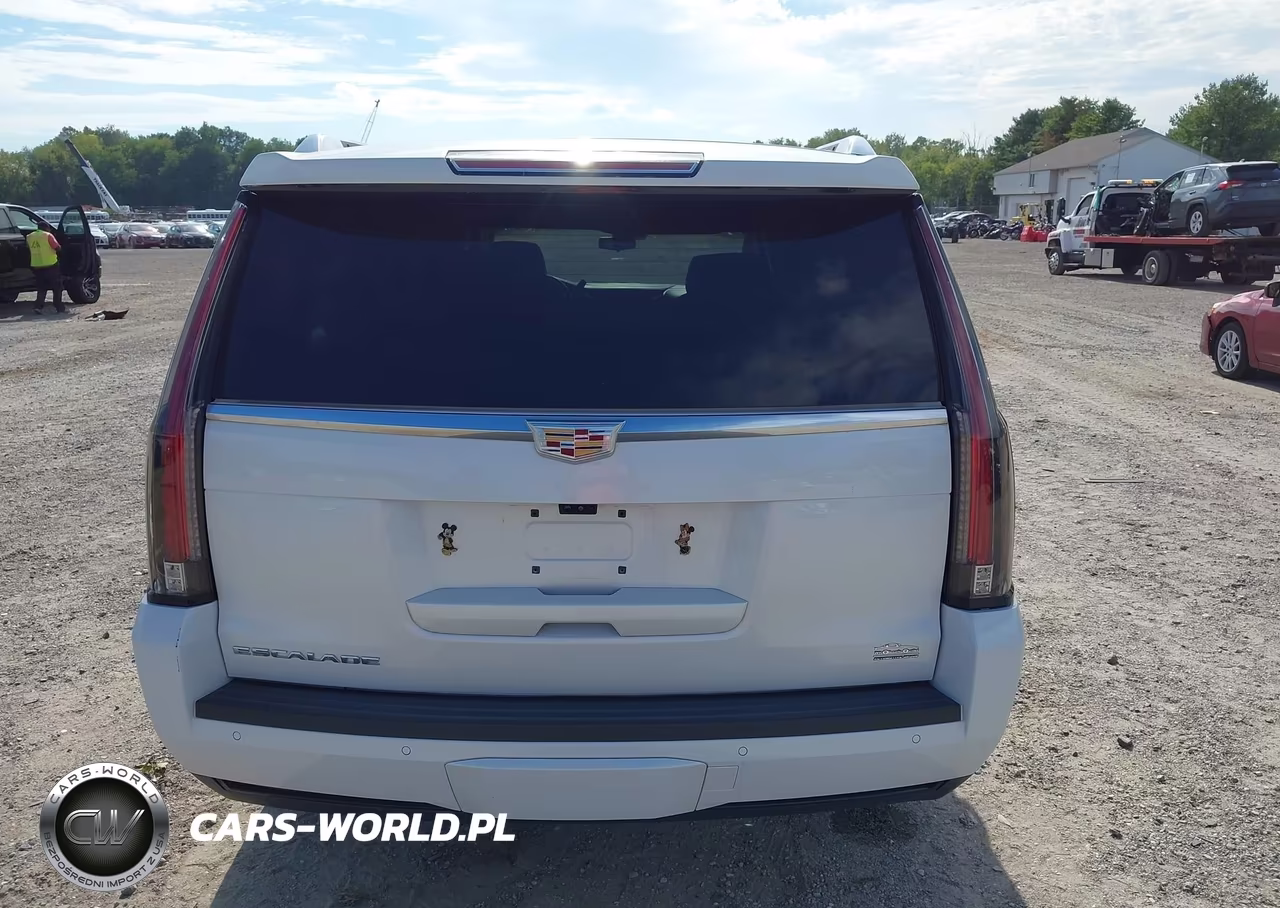 2020 Cadillac Escalade Esv 4Wd Luxury VIN:1GYS4HKJ7LR267471 - 16