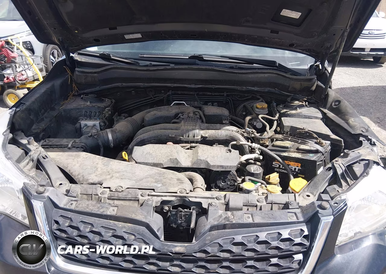 2016 Subaru Forester 2.5I VIN:JF2SJABC7GH504576 - 10