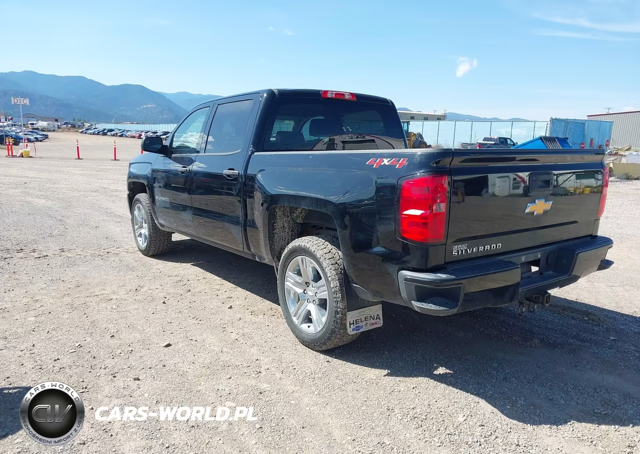 2018 Chevrolet Silverado 1500 Custom VIN:3GCUKPEC3JG465196 - 3