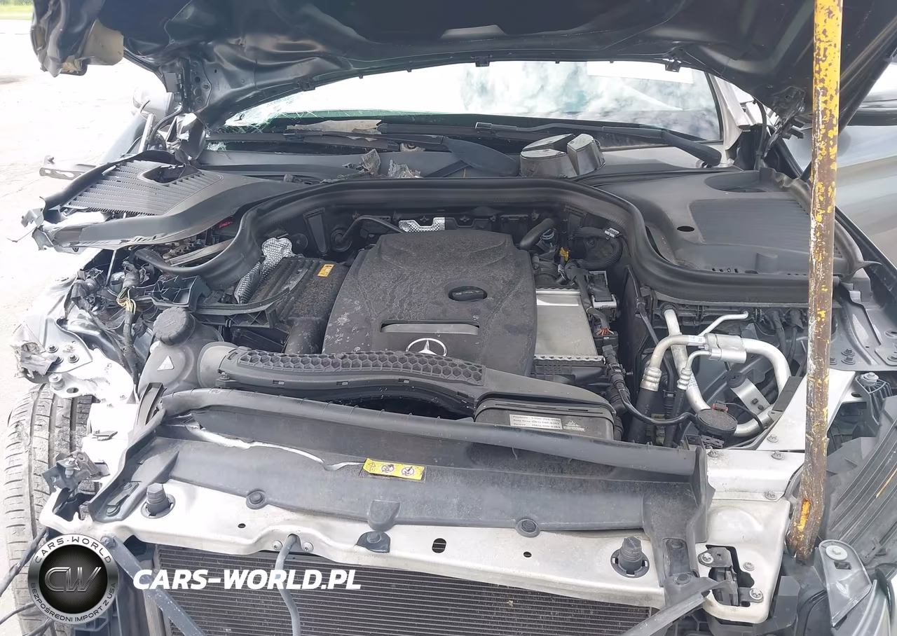 2017 Mercedes-Benz Glc 300 VIN:WDC0G4JB7HV009659 - 10