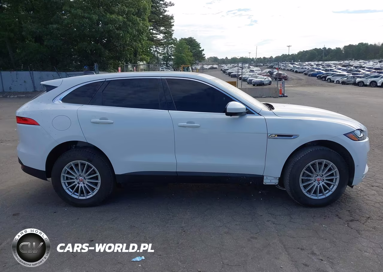 2020 Jaguar F-Pace P250 Awd Automatic VIN:SADCS2FX5LA640375 - 13