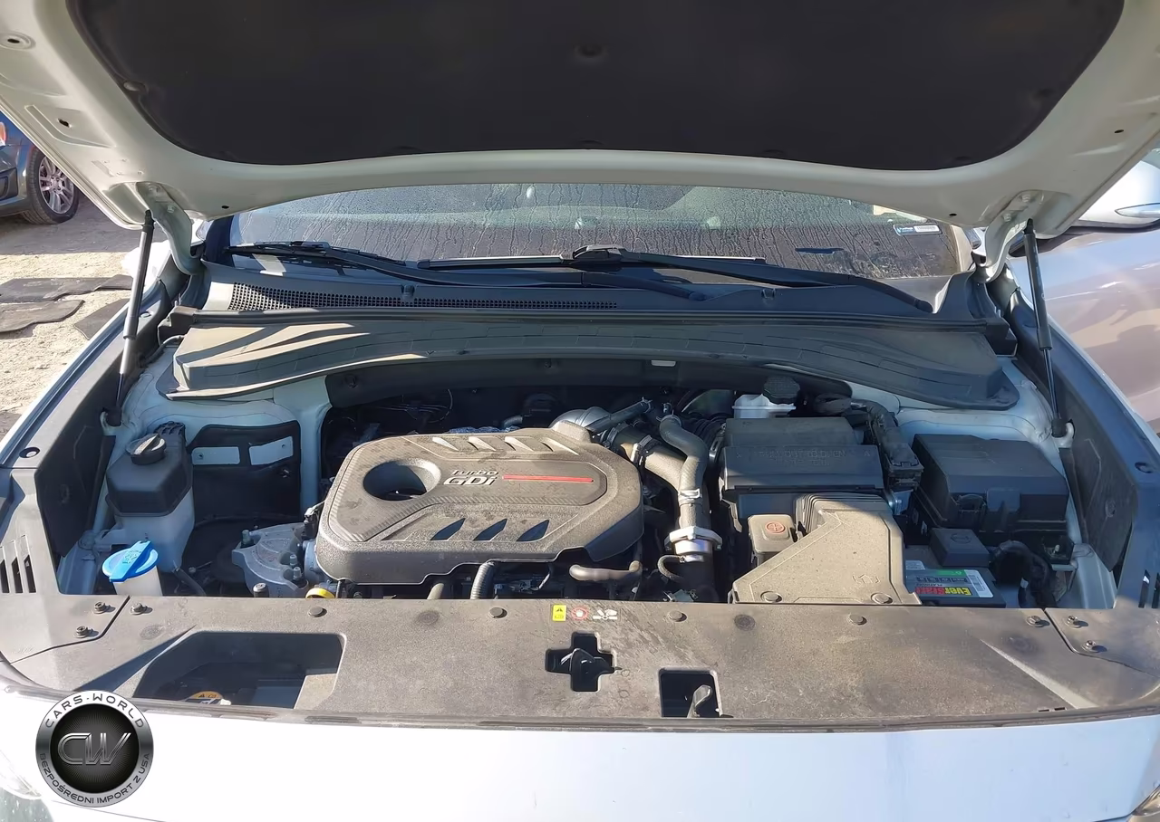 2019 Hyundai Santa Fe Limited 2.0T VIN:5NMS53AA3KH127928 - 10