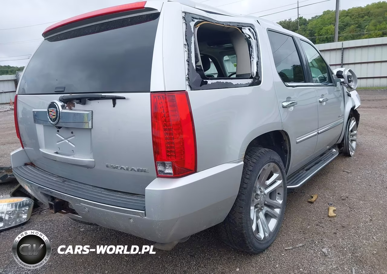 2014 Cadillac Escalade Luxury VIN:1GYS4BEF1ER209699 - 4