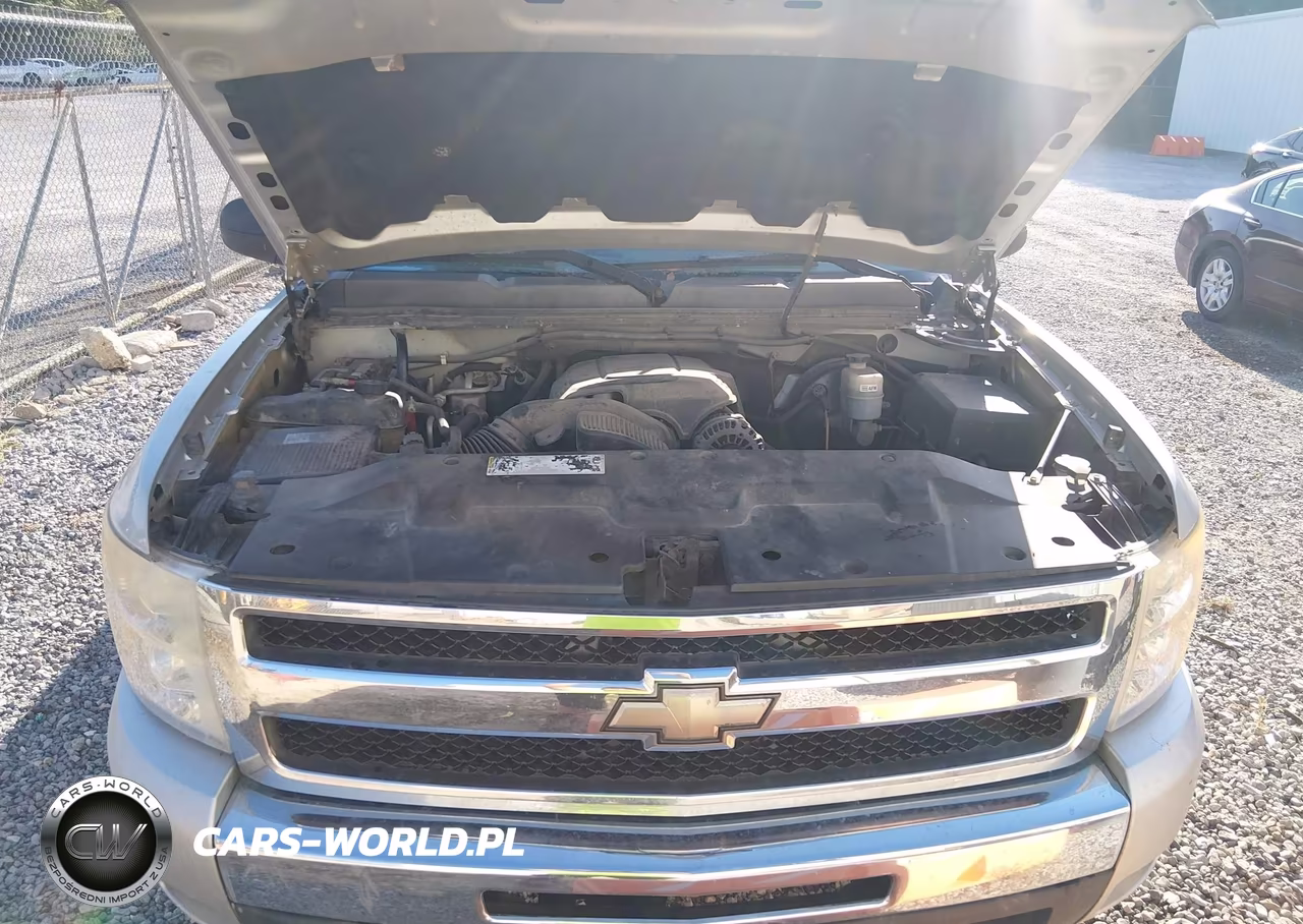 2010 Chevrolet Silverado 1500 Lt VIN:1GCSKSE3XAZ123142 - 10