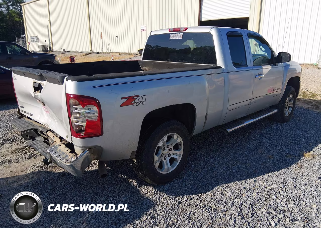 2010 Chevrolet Silverado 1500 Lt VIN:1GCSKSE3XAZ123142 - 4
