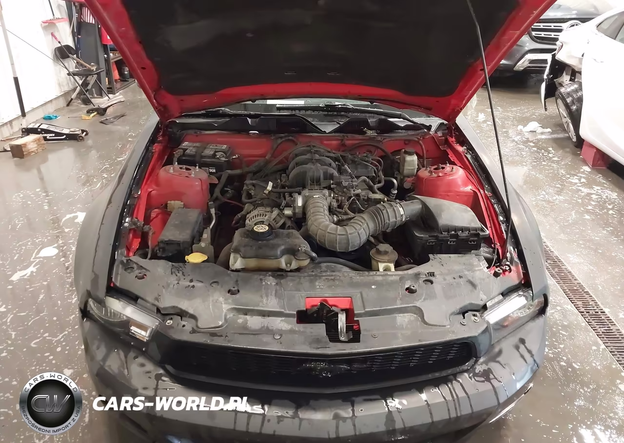 2010 Ford Mustang V6-V6 Premium VIN:1ZVBP8AN2A5120705 - 10