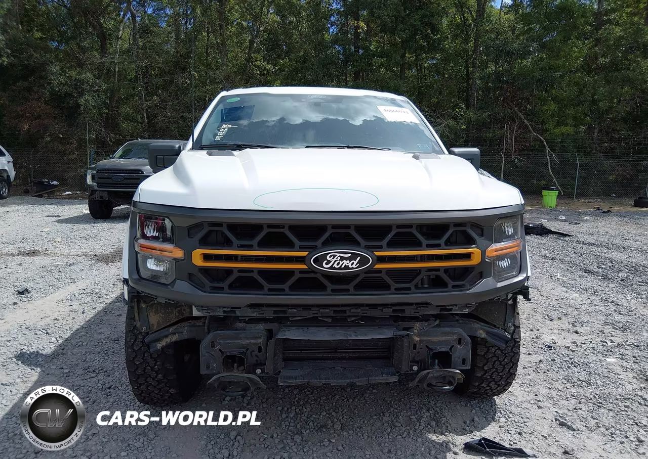 2025 Ford F-150 Tremor VIN:1FTFW4L89SFA25481 - 13