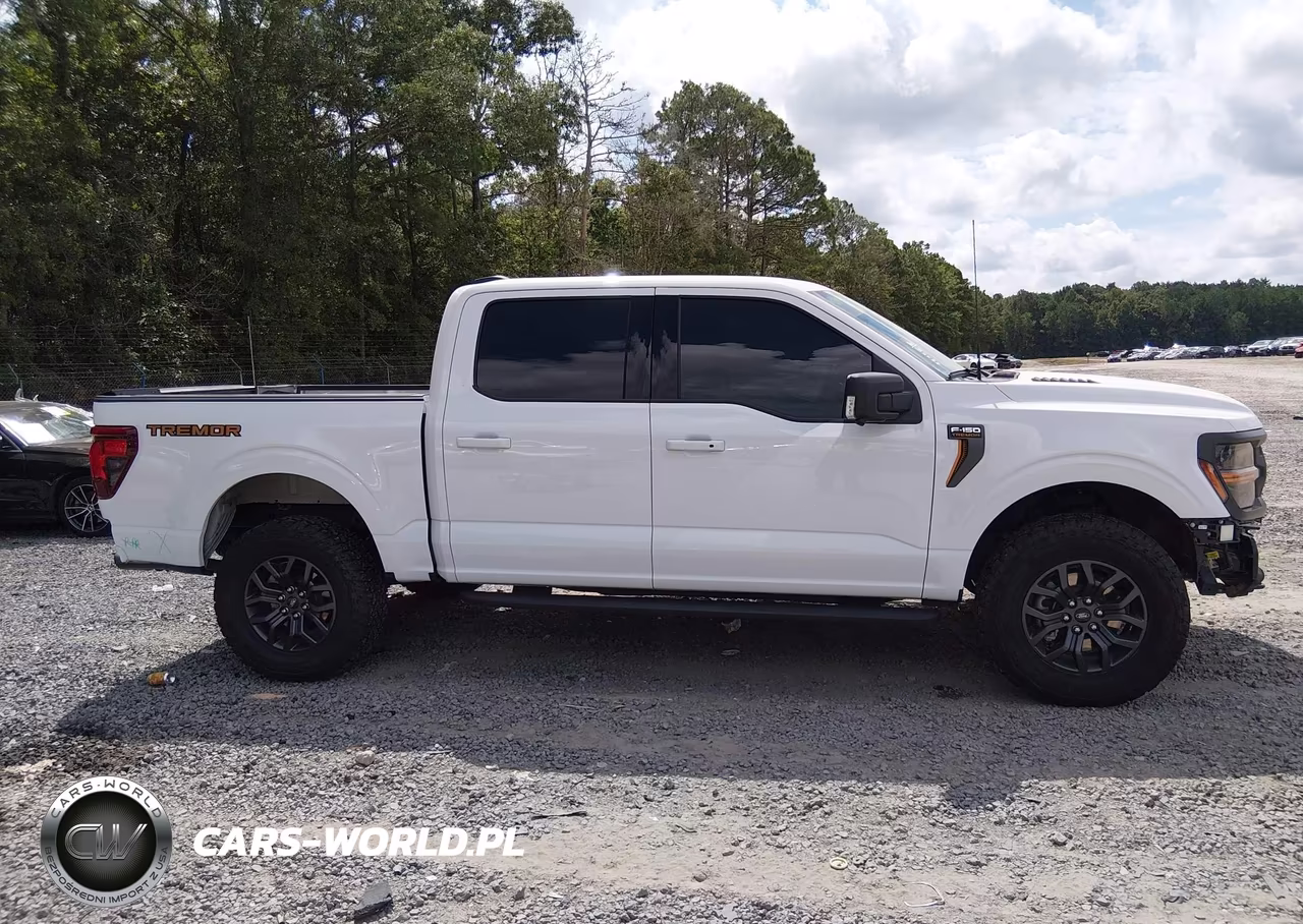 2025 Ford F-150 Tremor VIN:1FTFW4L89SFA25481 - 14