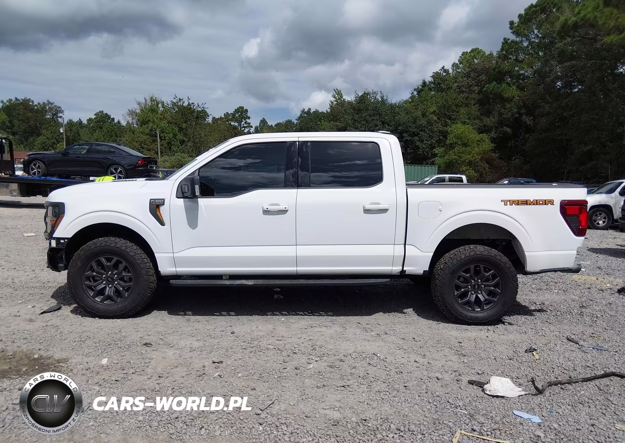 2025 Ford F-150 Tremor VIN:1FTFW4L89SFA25481 - 15