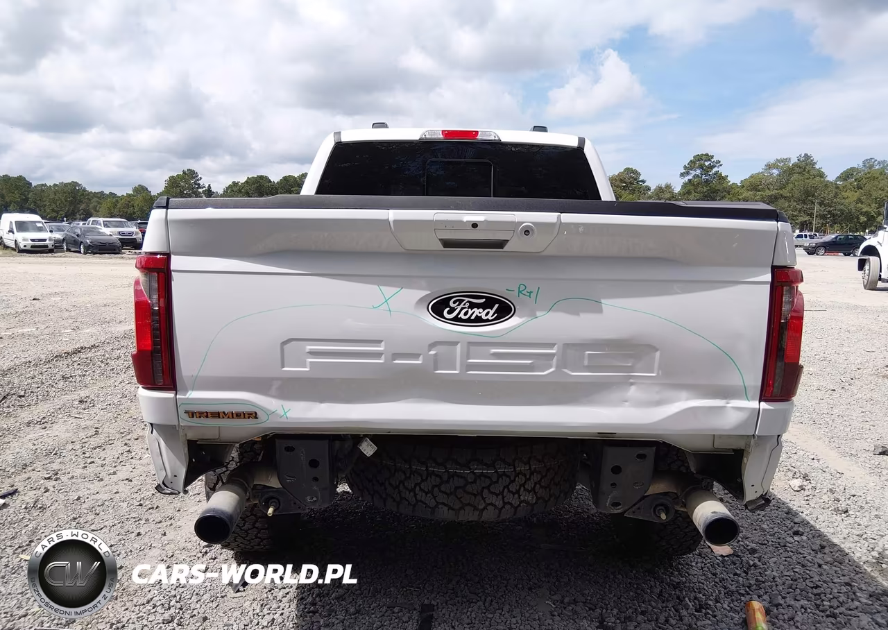 2025 Ford F-150 Tremor VIN:1FTFW4L89SFA25481 - 17