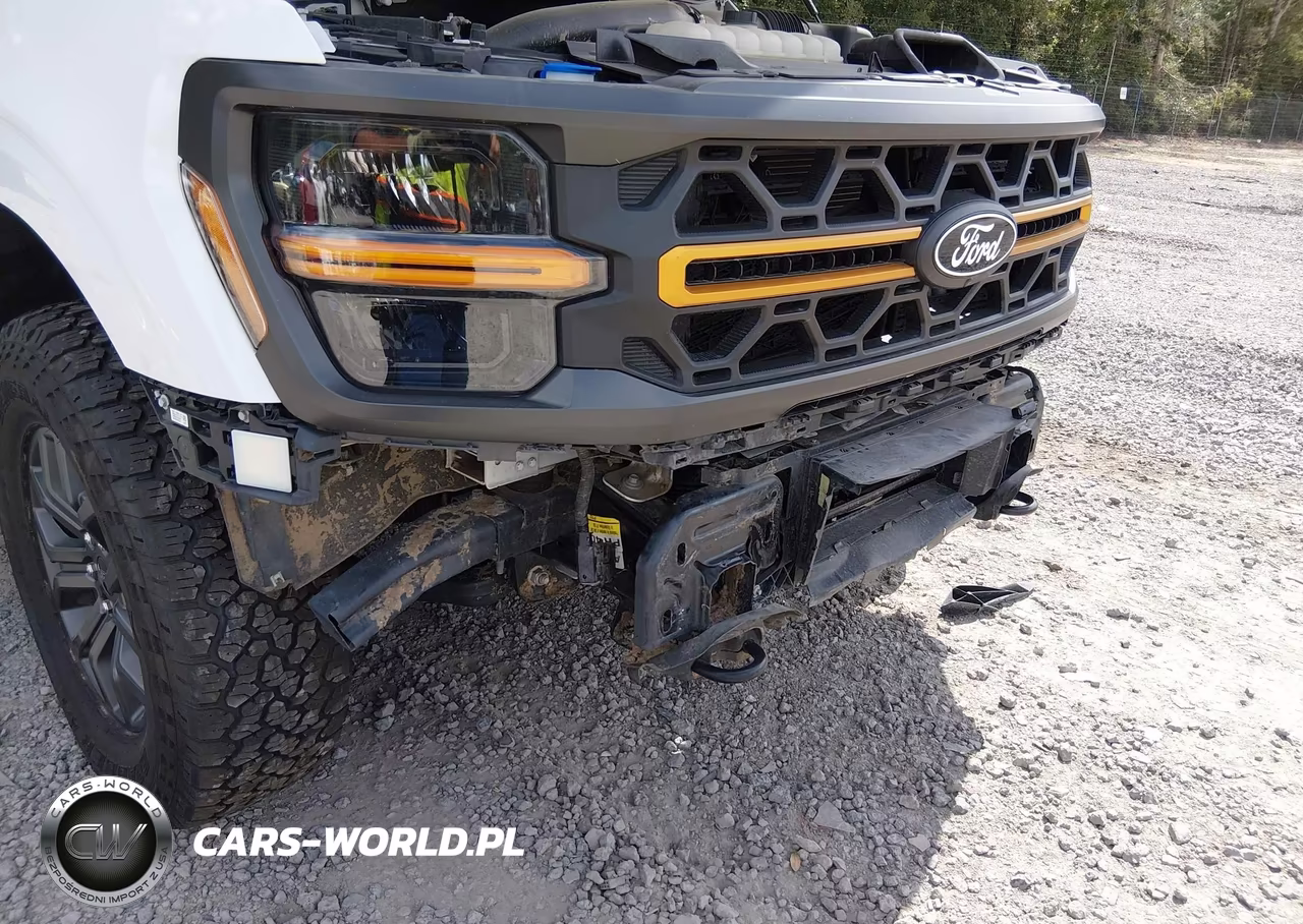2025 Ford F-150 Tremor VIN:1FTFW4L89SFA25481 - 18
