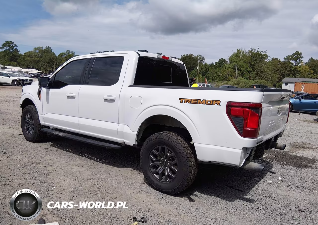 2025 Ford F-150 Tremor VIN:1FTFW4L89SFA25481 - 3