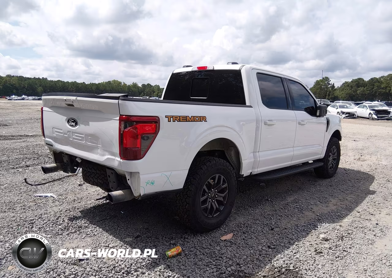 2025 Ford F-150 Tremor VIN:1FTFW4L89SFA25481 - 4