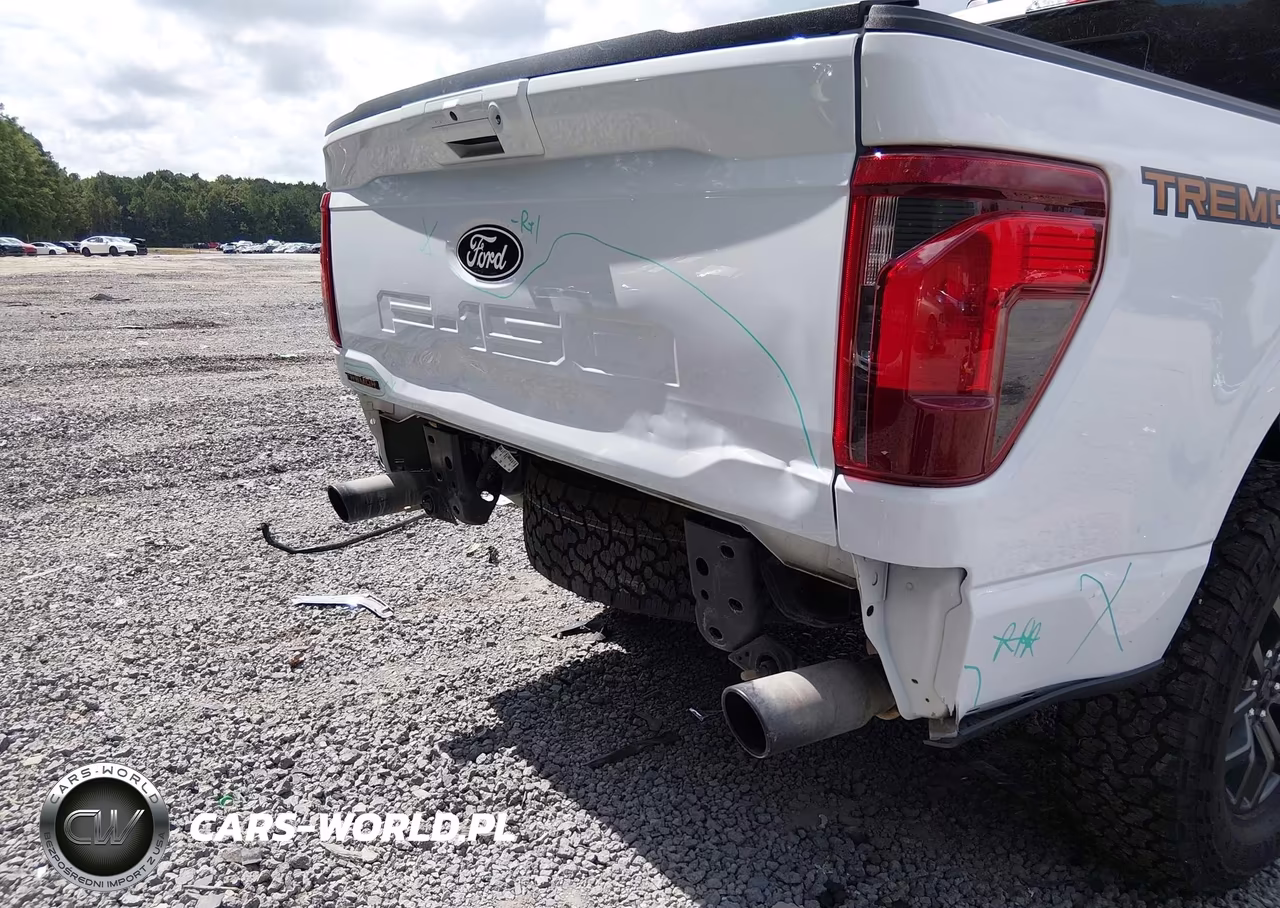 2025 Ford F-150 Tremor VIN:1FTFW4L89SFA25481 - 6