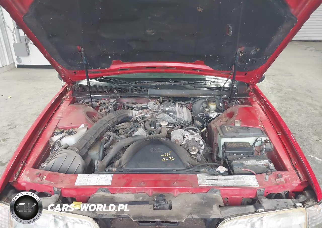1989 Ford Thunderbird VIN:1FAPP6042KH195576 - 7