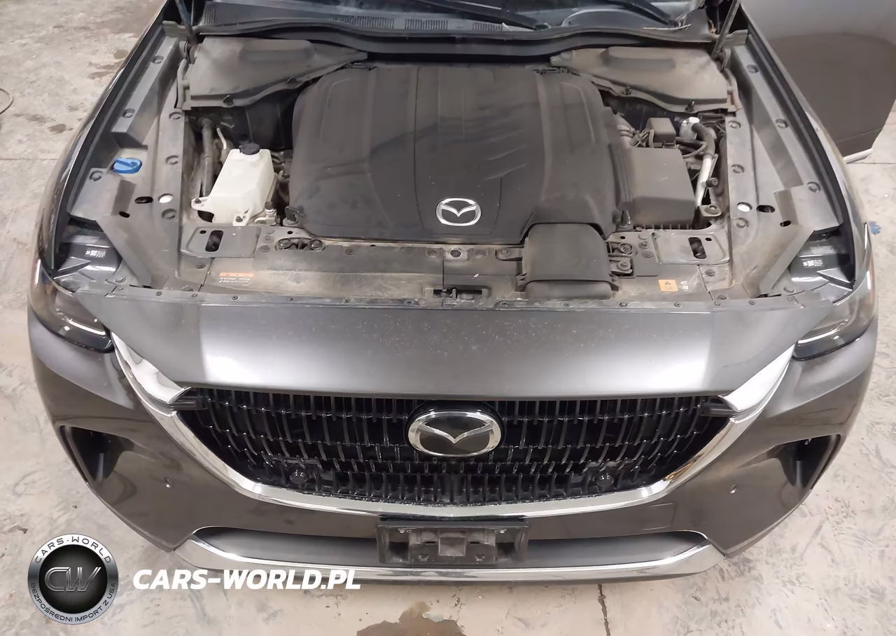 2024 Mazda Cx-90 3.3 Turbo Premium VIN:JM3KKDHD9R1143304 - 10