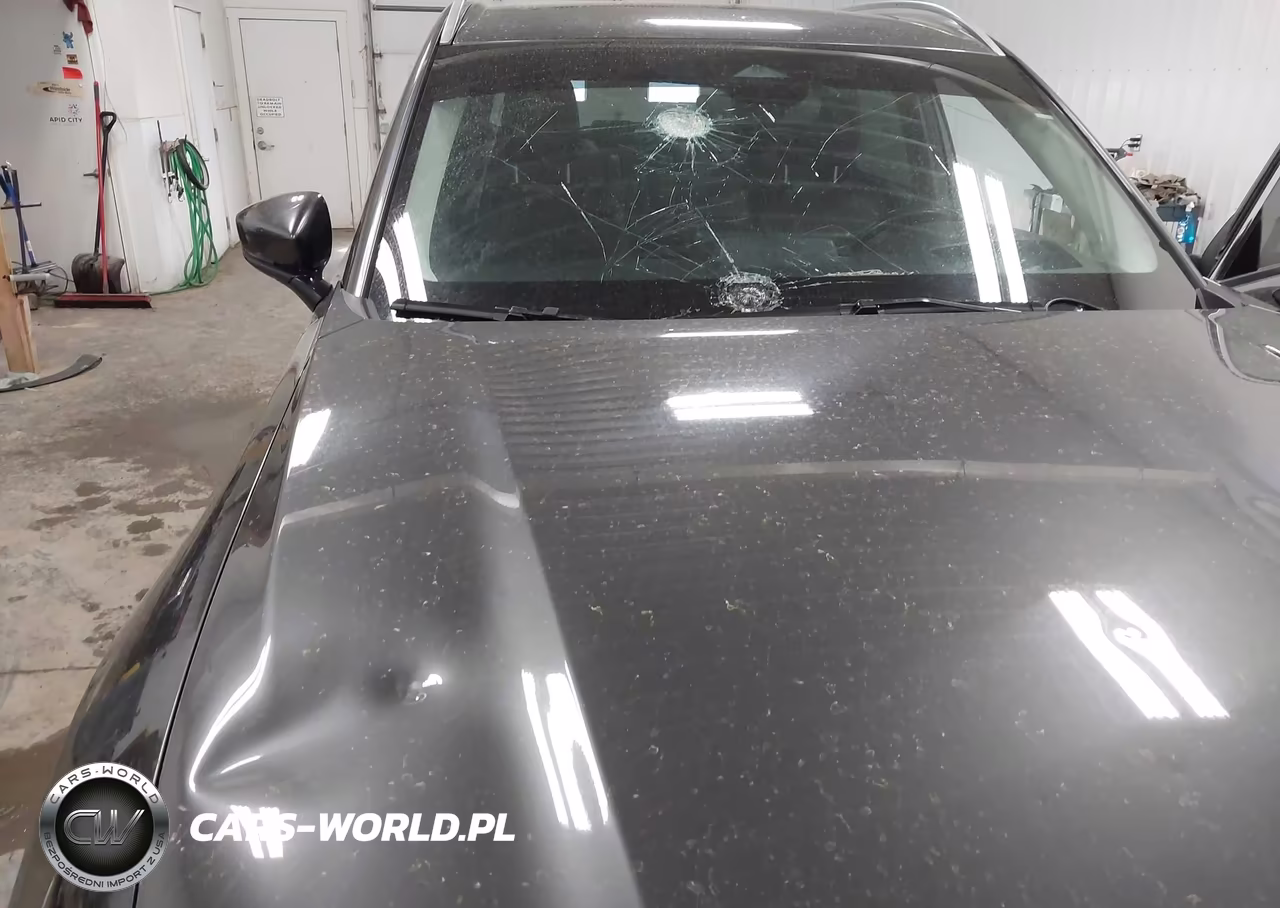 2024 Mazda Cx-90 3.3 Turbo Premium VIN:JM3KKDHD9R1143304 - 6