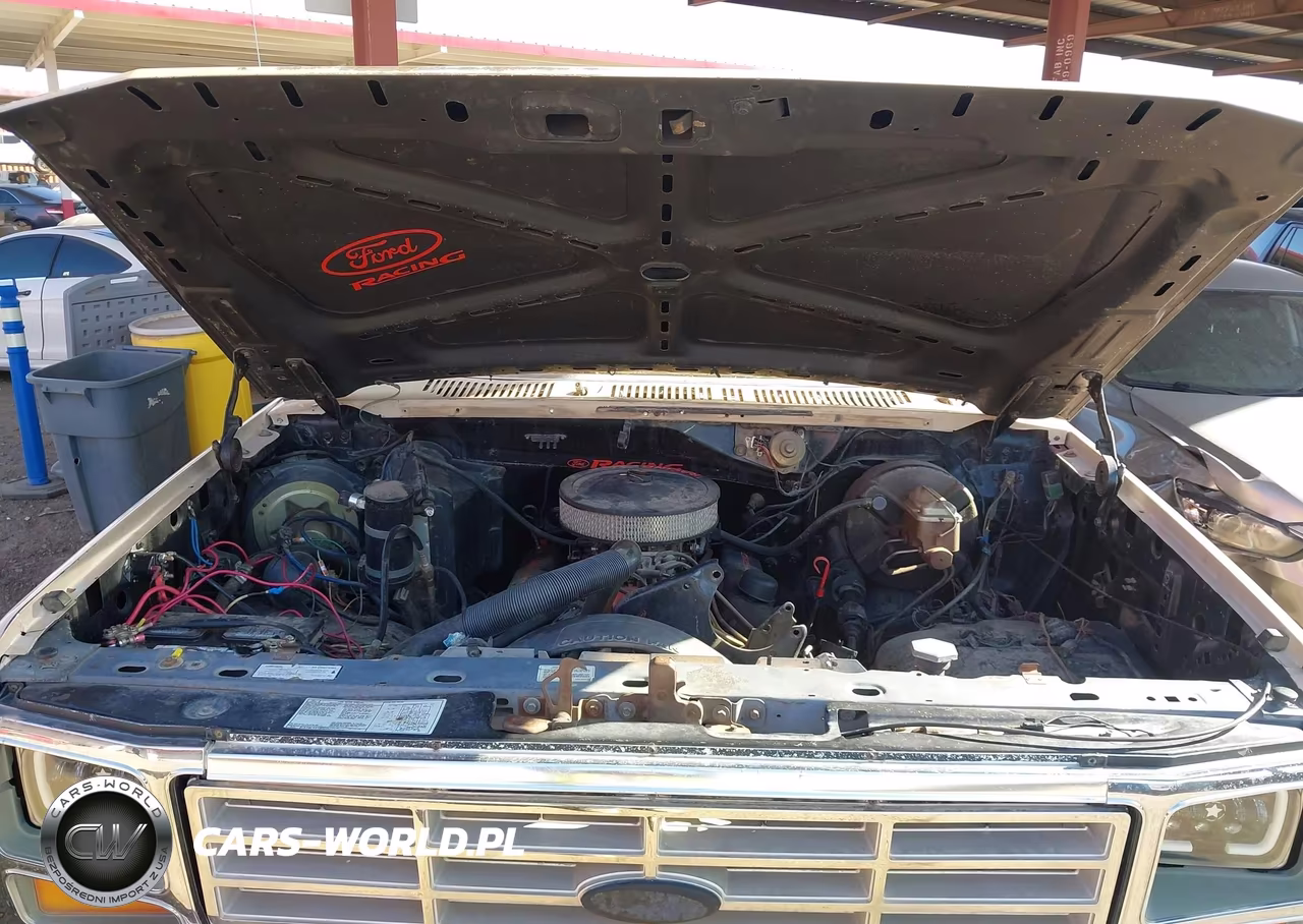 1986 Ford Bronco U100 VIN:1FMDU15H8GLA14081 - 10