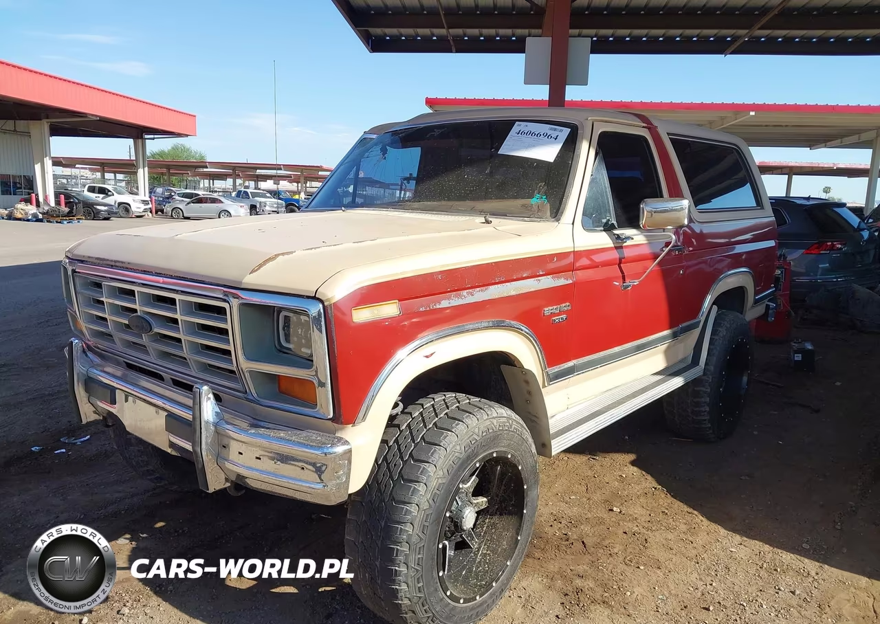 1986 Ford Bronco U100 VIN:1FMDU15H8GLA14081 - 2