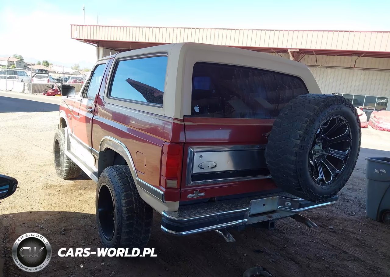 1986 Ford Bronco U100 VIN:1FMDU15H8GLA14081 - 3