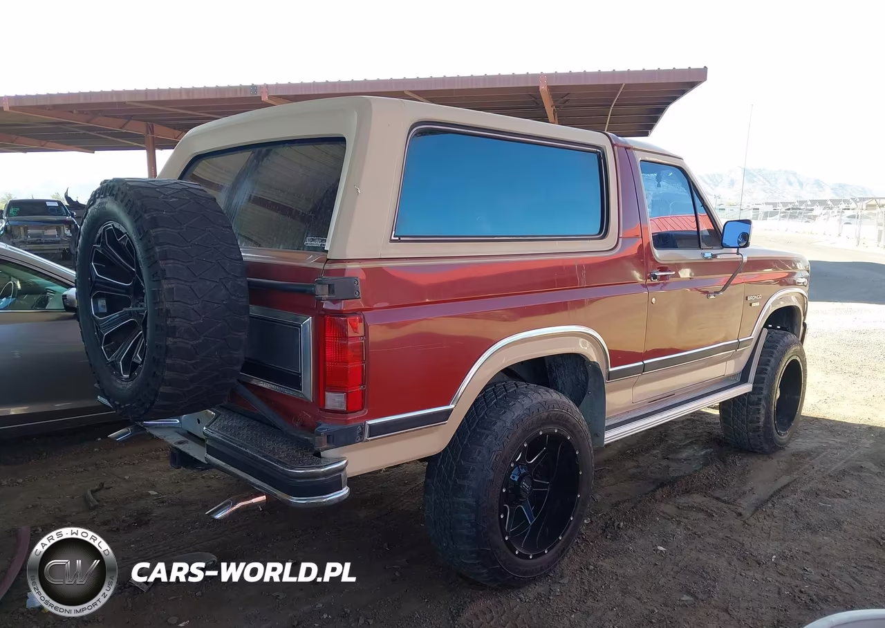 1986 Ford Bronco U100 VIN:1FMDU15H8GLA14081 - 4
