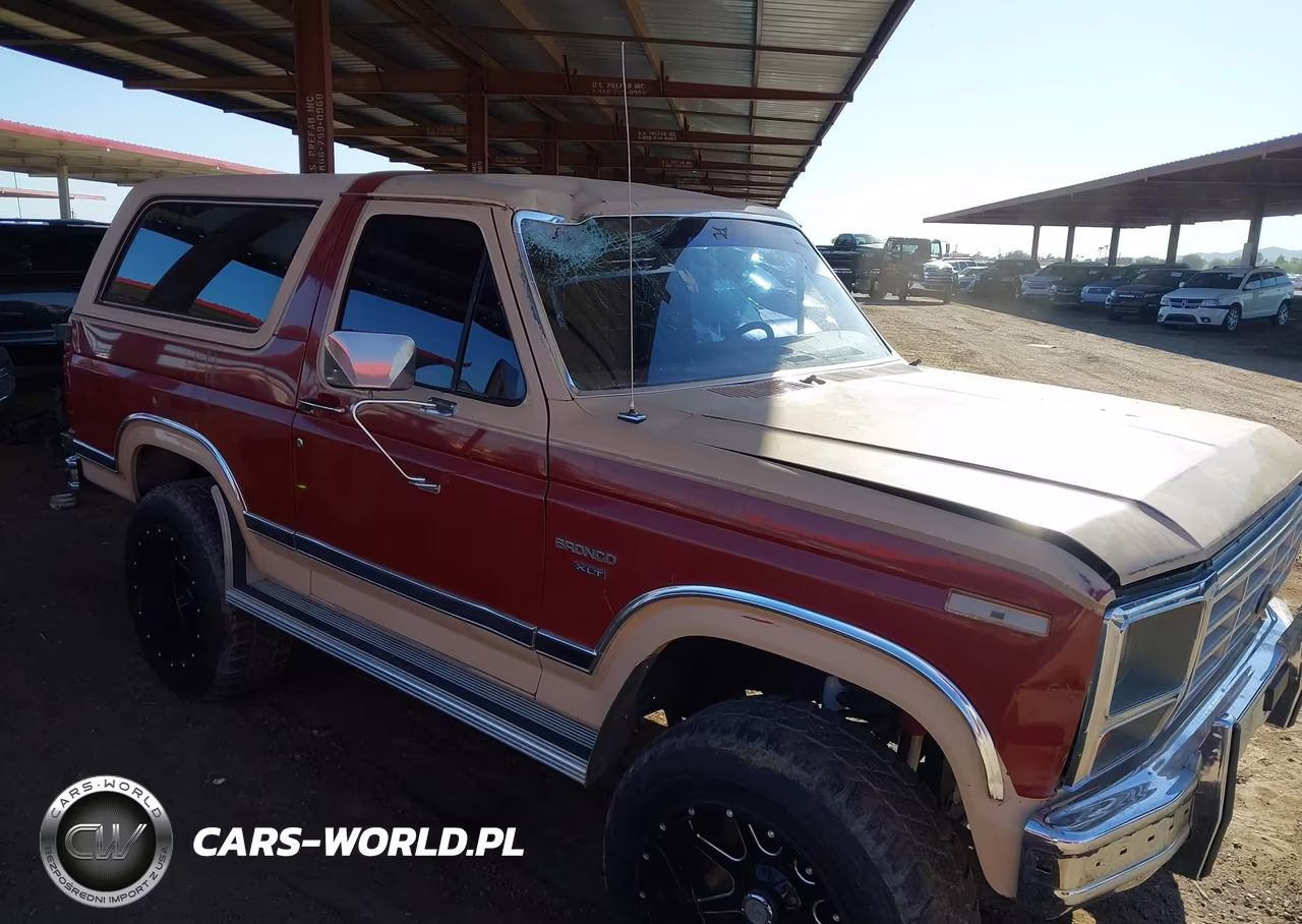 1986 Ford Bronco U100 VIN:1FMDU15H8GLA14081 - 6