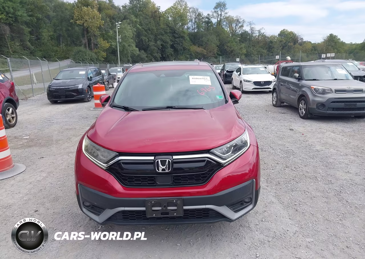 2020 Honda Cr-V Awd Ex VIN:7FARW2H51LE008992 - 12