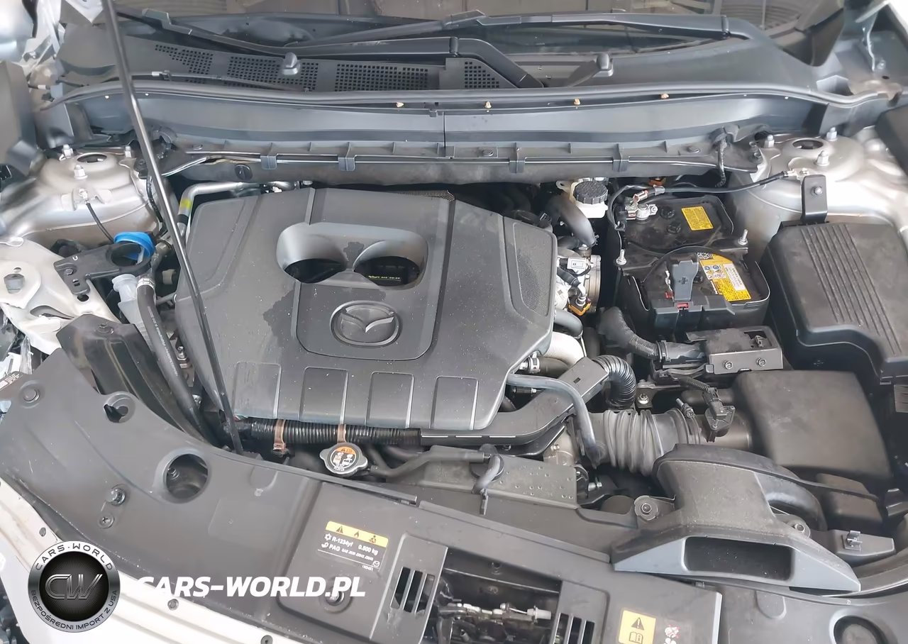 2025 Mazda Cx-5 2.5 S Premium Plus VIN:JM3KFBEM3S0546042 - 10