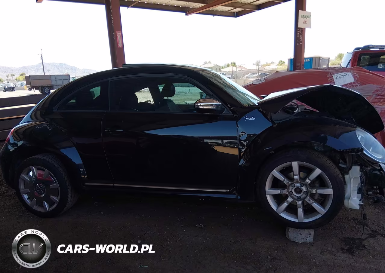 2013 Volkswagen Beetle 2.5L-2.5L Fender Edition VIN:3VWJP7AT6DM687602 - 12