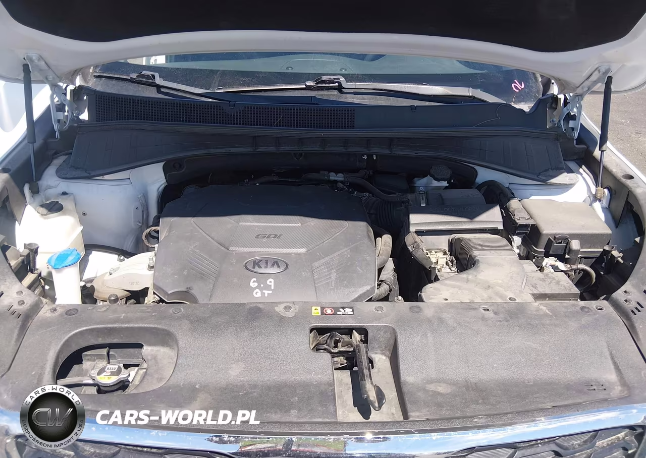 2019 Kia Sorento 3.3L Lx VIN:5XYPG4A5XKG491153 - 10