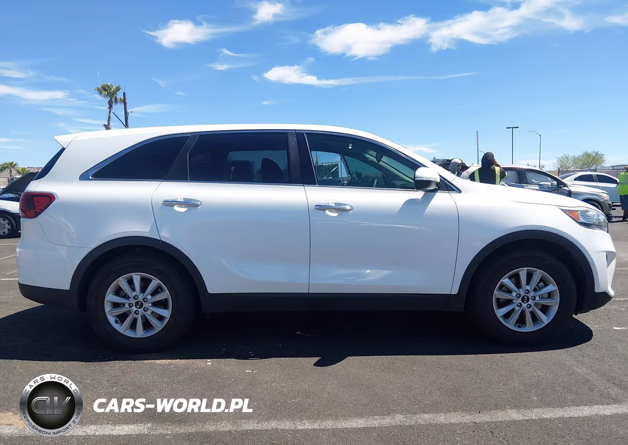 2019 Kia Sorento 3.3L Lx VIN:5XYPG4A5XKG491153 - 12