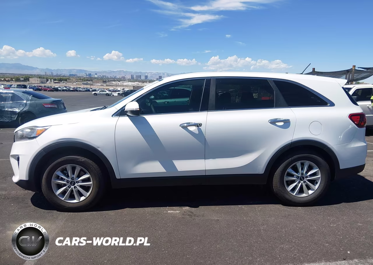 2019 Kia Sorento 3.3L Lx VIN:5XYPG4A5XKG491153 - 13