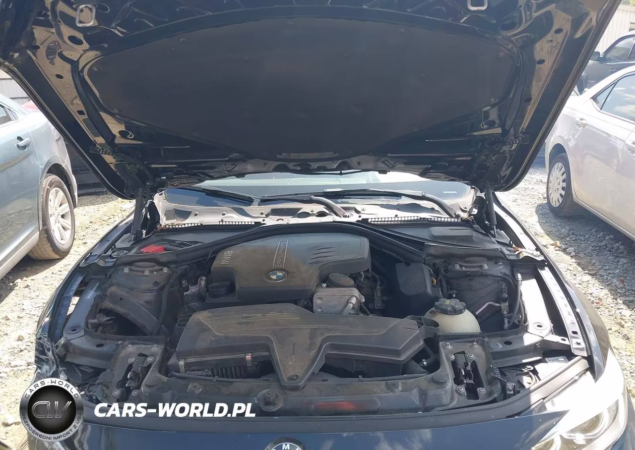 2016 BMW 428I Gran Coupe VIN:WBA4A9C52GG507863 - 10