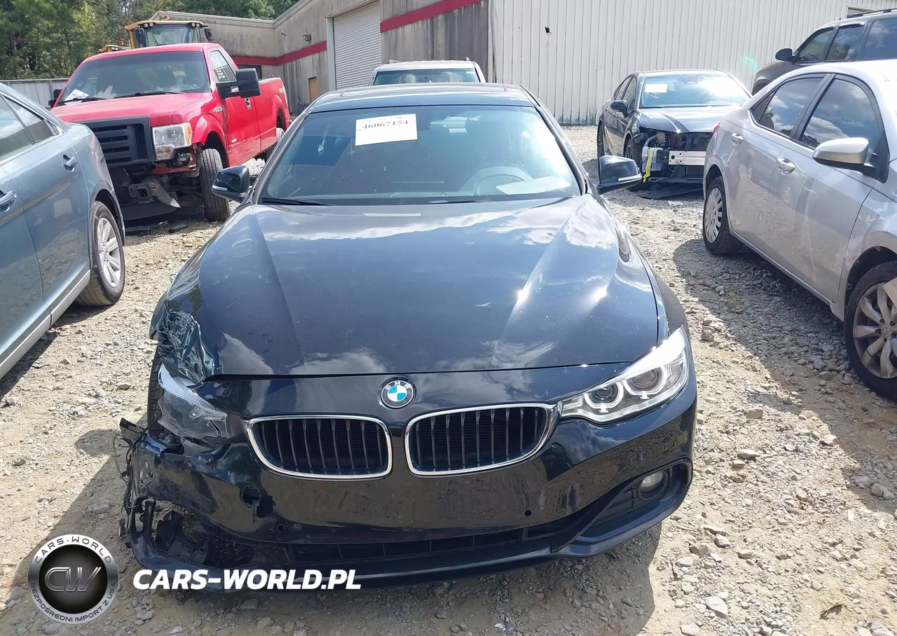 2016 BMW 428I Gran Coupe VIN:WBA4A9C52GG507863 - 12