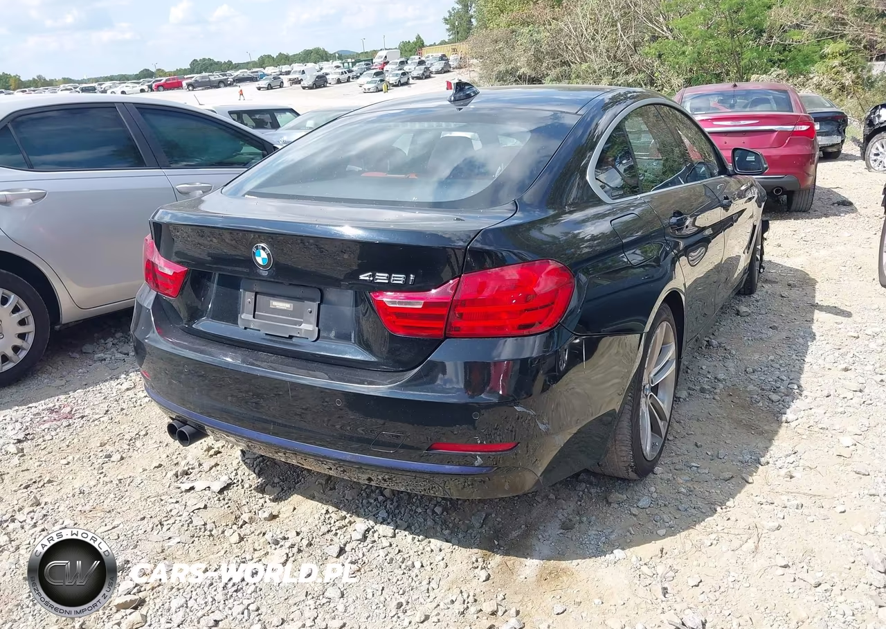 2016 BMW 428I Gran Coupe VIN:WBA4A9C52GG507863 - 4