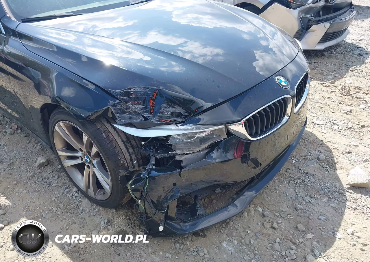 2016 BMW 428I Gran Coupe VIN:WBA4A9C52GG507863 - 6