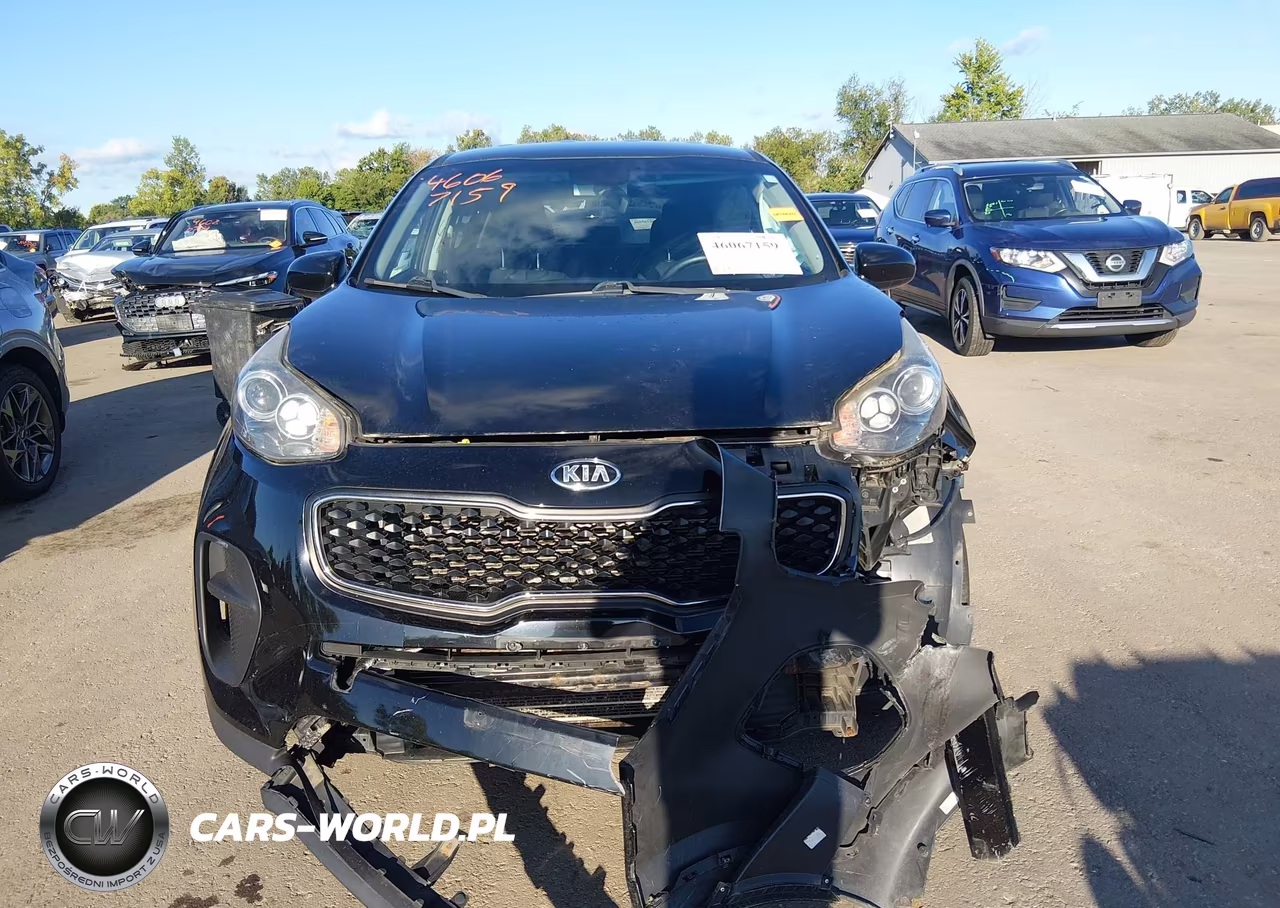 2019 Kia Sportage Lx VIN:KNDPM3AC3K7507742 - 12