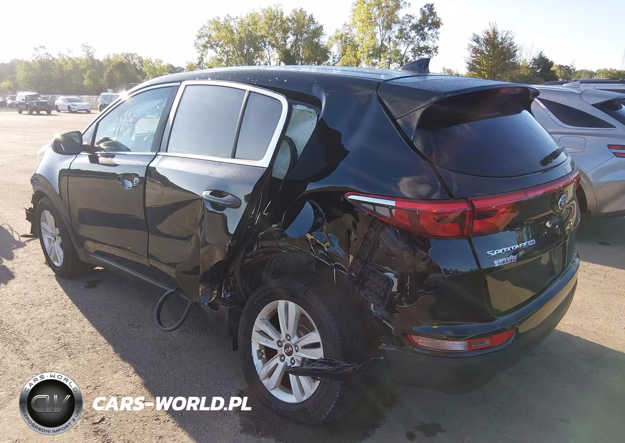 2019 Kia Sportage Lx VIN:KNDPM3AC3K7507742 - 3