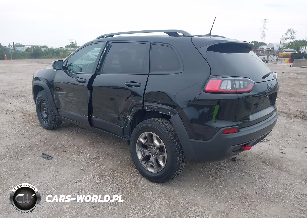 2019 Jeep Cherokee Trailhawk 4X4 VIN:1C4PJMBX7KD313975 - 3