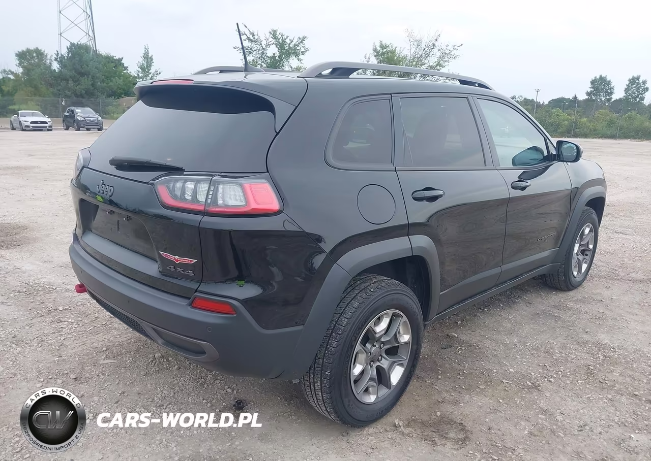 2019 Jeep Cherokee Trailhawk 4X4 VIN:1C4PJMBX7KD313975 - 4
