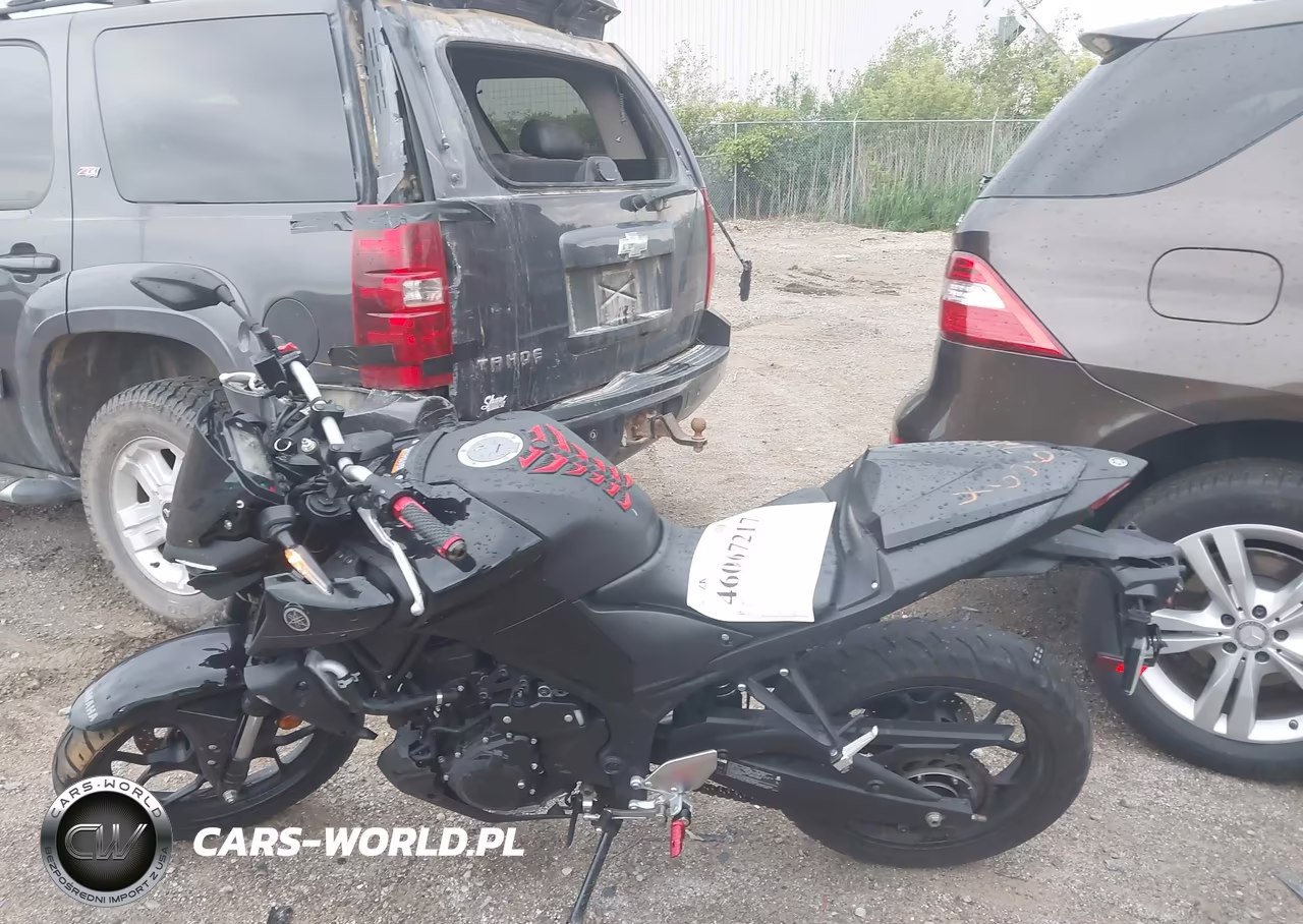 2020 Yamaha Mt-03 VIN:MH3RH20Y1LK002643 - 13