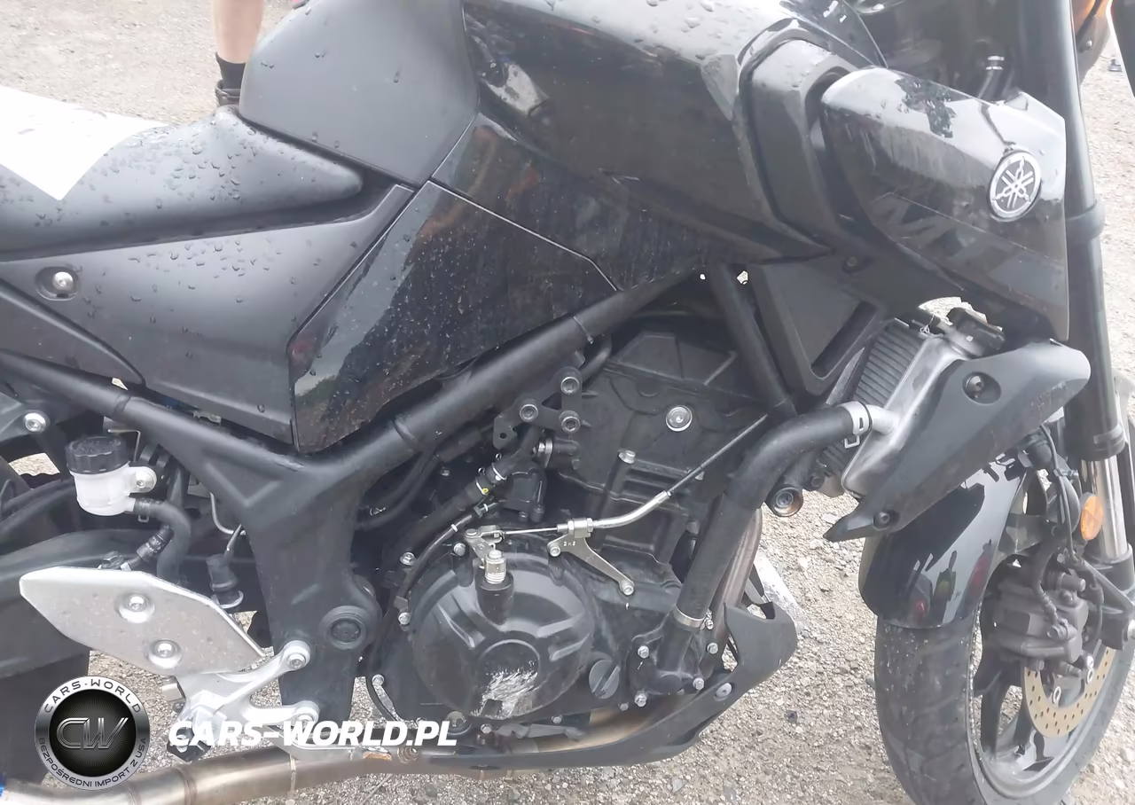 2020 Yamaha Mt-03 VIN:MH3RH20Y1LK002643 - 8