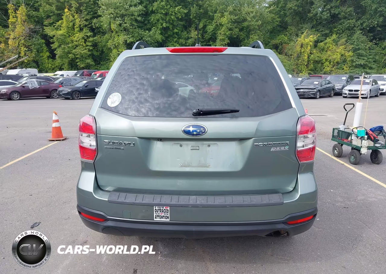 2015 Subaru Forester 2.5I Premium VIN:JF2SJADCXFH585441 - 17