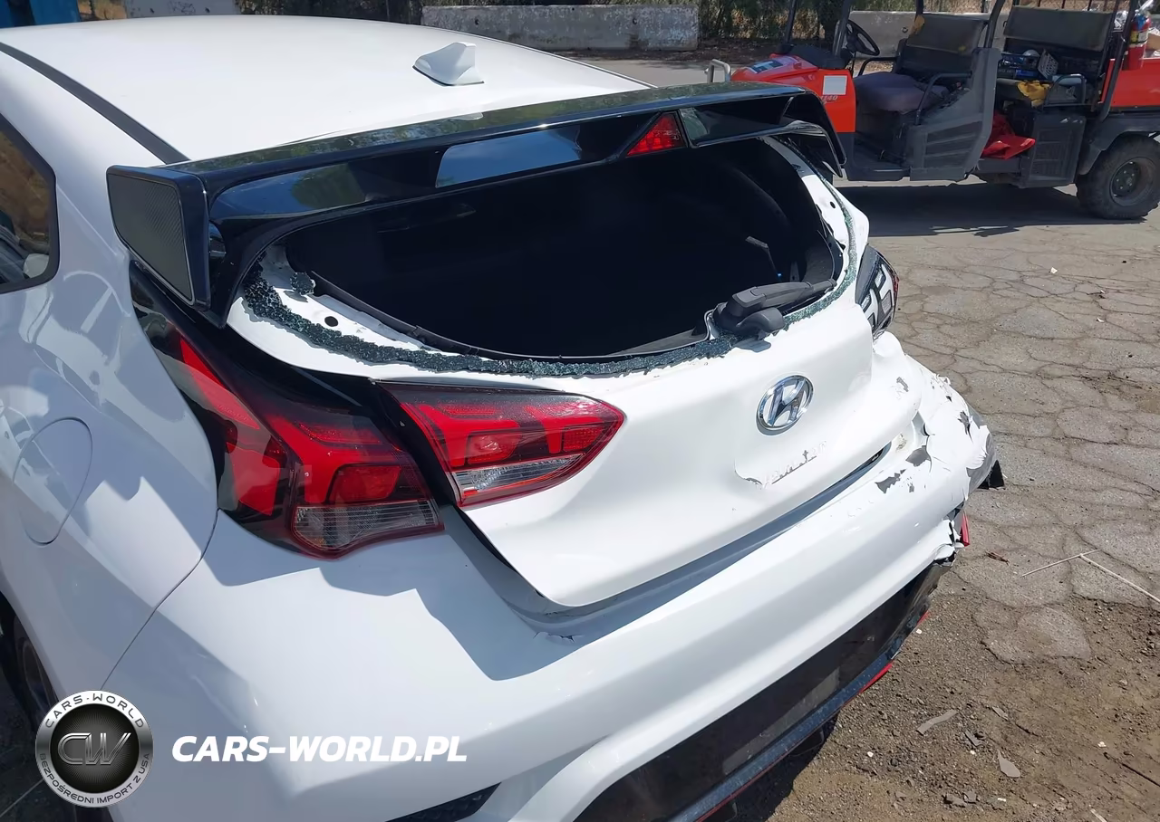 2021 Hyundai Veloster N VIN:KMHT36AH2MU010955 - 6