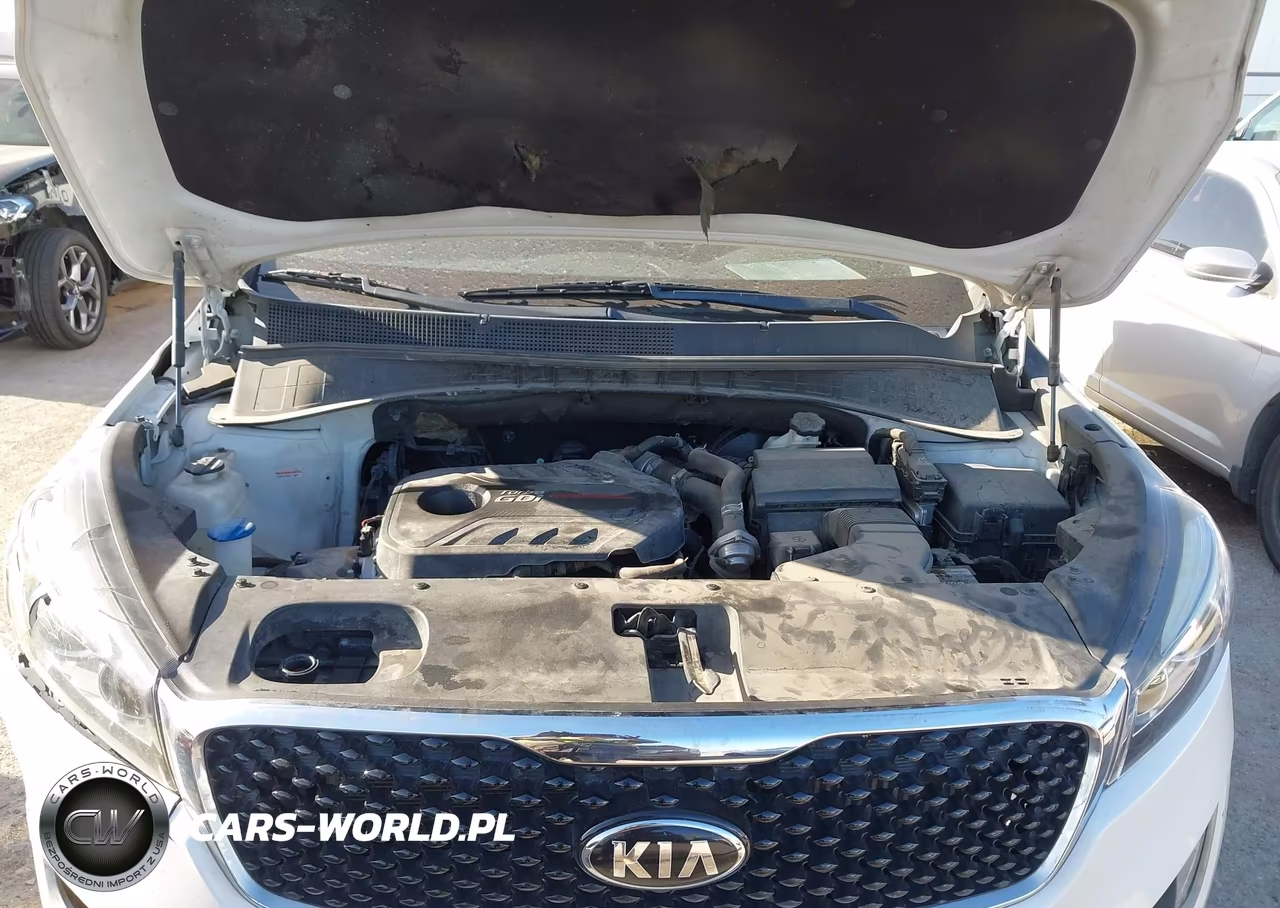 2016 Kia Sorento 2.0T Ex VIN:5XYPH4A13GG021371 - 10