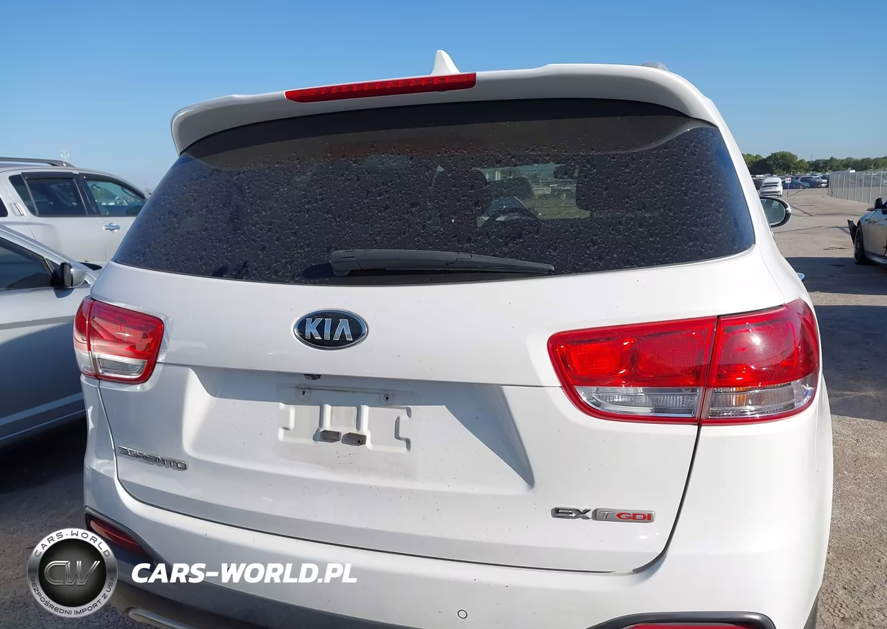 2016 Kia Sorento 2.0T Ex VIN:5XYPH4A13GG021371 - 16