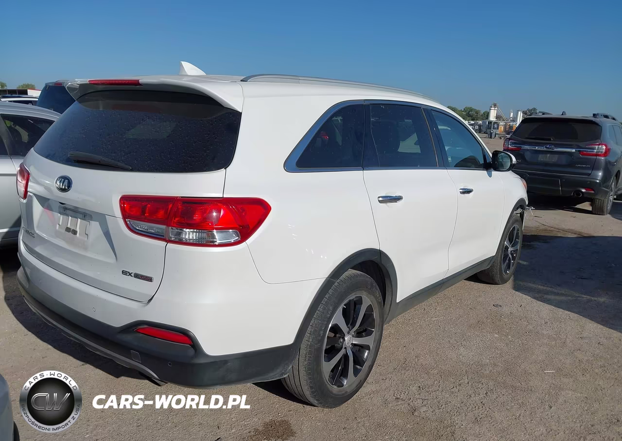 2016 Kia Sorento 2.0T Ex VIN:5XYPH4A13GG021371 - 4