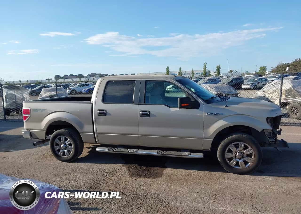 2009 Ford F-150 Xl-Xlt VIN:1FTRW12859KC78893 - 14