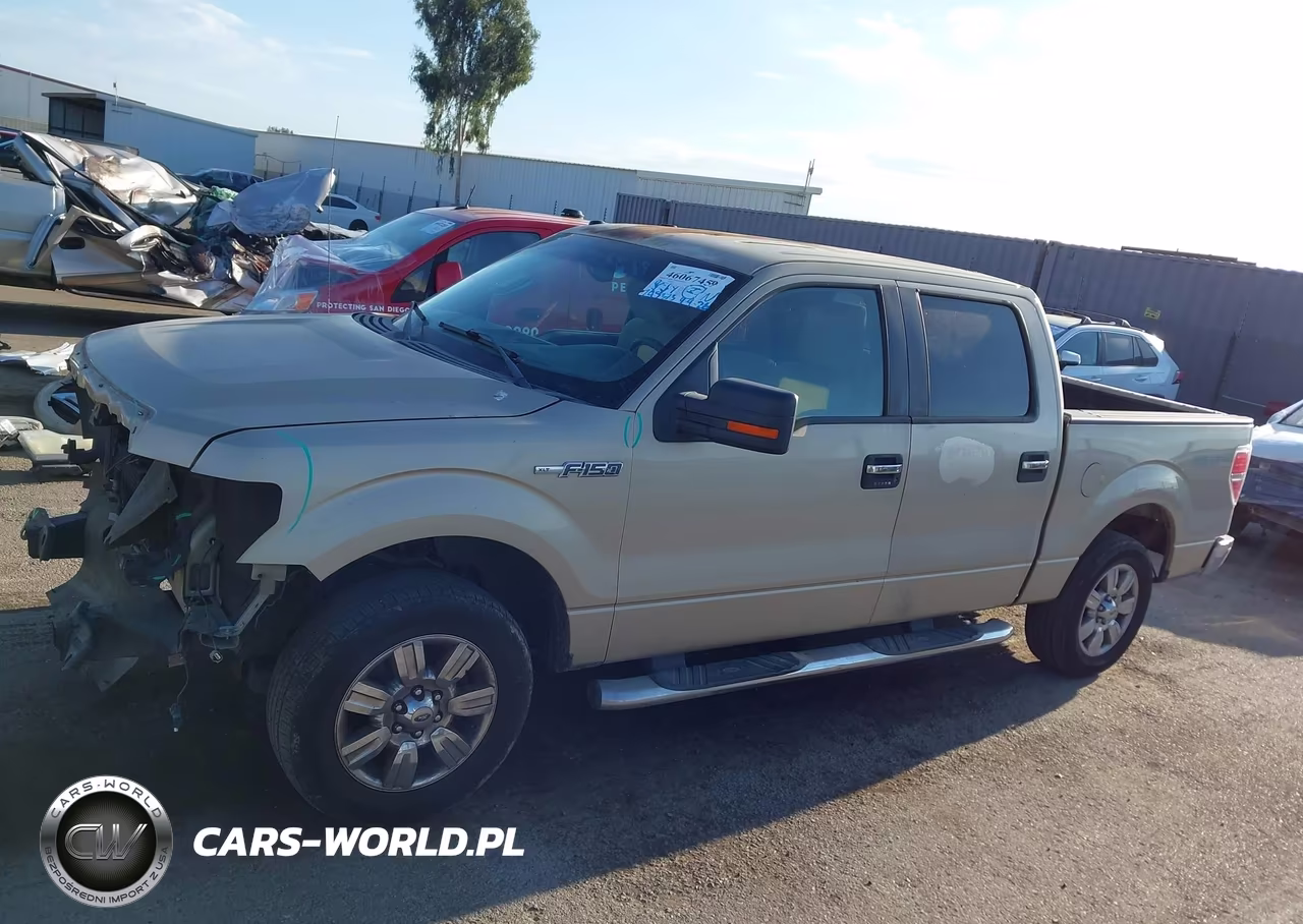 2009 Ford F-150 Xl-Xlt VIN:1FTRW12859KC78893 - 15